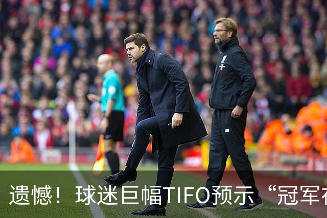遗憾！球迷巨幅TIFO预示“冠军在握”，蓉城却遭遇失利无缘争冠